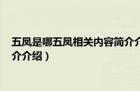 五凤是哪五凤相关内容简介介绍一下（五凤是哪五凤相关内容简介介绍）