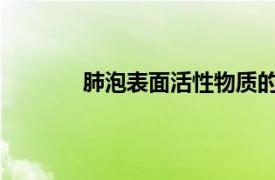 肺泡表面活性物质的来源、作用及生理意义