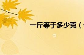 一斤等于多少克（一公斤等于多少千克）