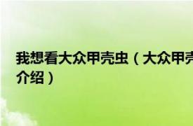 我想看大众甲壳虫（大众甲壳虫买了后悔了为什么相关内容简介介绍）