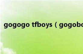 gogogo tfboys（gogoboy是啥意思相关内容简介介绍）