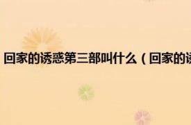 回家的诱惑第三部叫什么（回家的诱惑第二部什么名字相关内容简介介绍）