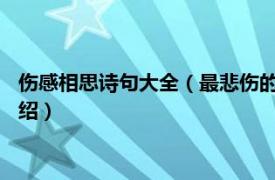 伤感相思诗句大全（最悲伤的相思诗句-伤感诗句相关内容简介介绍）