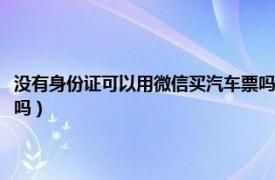 没有身份证可以用微信买汽车票吗怎么买（没有身份证可以用微信买汽车票吗）