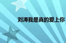 刘涛我是真的爱上你（爱上你 刘涛演唱歌曲）