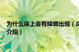 为什么床上会有蟑螂出现（床上出现蟑螂代表什么相关内容简介介绍）