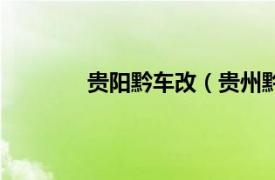 贵阳黔车改（贵州黔改汽车改装有限公司）