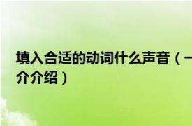 填入合适的动词什么声音（一声声后面可以填动词吗相关内容简介介绍）