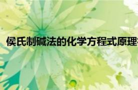 侯氏制碱法的化学方程式原理初中（侯氏制碱法的化学方程式）