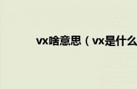 vx啥意思（vx是什么意思相关内容简介介绍）