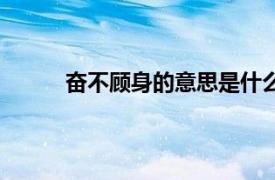 奋不顾身的意思是什么意思（奋不顾身的意思）