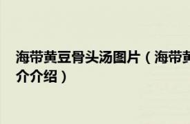 海带黄豆骨头汤图片（海带黄豆骨头汤最正宗的做法相关内容简介介绍）