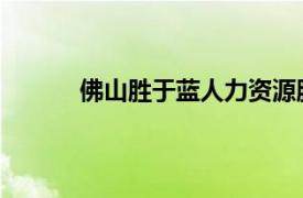 佛山胜于蓝人力资源服务有限公司是干什么的