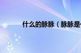 什么的脉脉（脉脉是什么相关内容简介介绍）