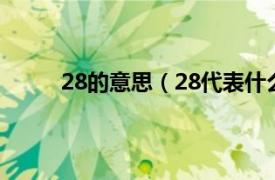 28的意思（28代表什么意思相关内容简介介绍）