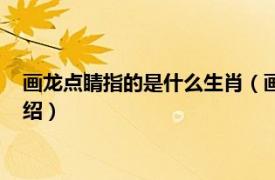 画龙点睛指的是什么生肖（画龙点睛是哪个生肖相关内容简介介绍）