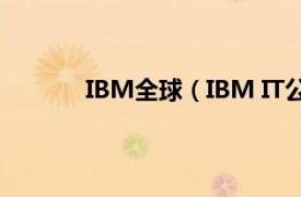 IBM全球（IBM IT公司-国际商业机器公司）