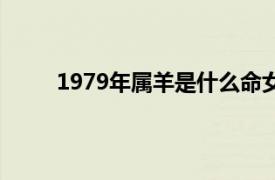 1979年属羊是什么命女（1979年属羊是什么命）