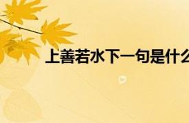 上善若水下一句是什么成语（上善若水下一句）