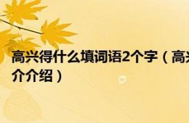 高兴得什么填词语2个字（高兴得什么填二字如何填字相关内容简介介绍）