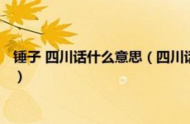 锤子 四川话什么意思（四川话锤子是什么意思相关内容简介介绍）