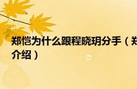 郑恺为什么跟程晓玥分手（郑恺和程晓玥分手了吗相关内容简介介绍）