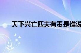 天下兴亡匹夫有责是谁说的你对这句话的理解是什么