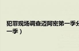 犯罪现场调查迈阿密第一季分集剧情（犯罪现场调查：迈阿密第一季）