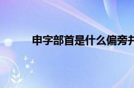 申字部首是什么偏旁并组词（申字部首是什么）