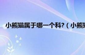 小熊猫属于哪一个科?（小熊猫属于什么科相关内容简介介绍）