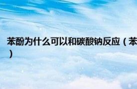 苯酚为什么可以和碳酸钠反应（苯酚可以和碳酸钠反应吗相关内容简介介绍）