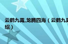 云鹤九霄,龙腾四海（云鹤九霄龙游四海什么意思相关内容简介介绍）