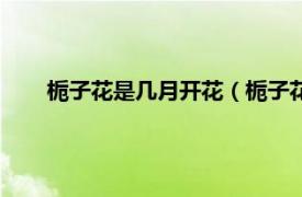 栀子花是几月开花（栀子花几月开花相关内容简介介绍）