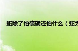 蛇除了怕硫磺还怕什么（蛇为什么怕硫磺相关内容简介介绍）