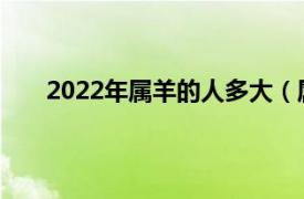 2022年属羊的人多大（属羊的今年 2022年多少岁）