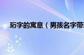 珩字的寓意（男孩名字带珩字寓意相关内容简介介绍）