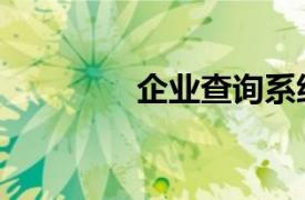 企业查询系统（网络企业）