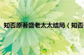 知否原著盛老太太结局（知否盛老太太结局相关内容简介介绍）