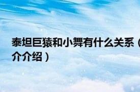 泰坦巨猿和小舞有什么关系（小舞和泰坦巨猿的关系相关内容简介介绍）