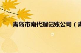 青岛市南代理记账公司（青岛明伟源代理记账有限公司）