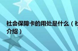 社会保障卡的用处是什么（社会保障卡有什么用途相关内容简介介绍）