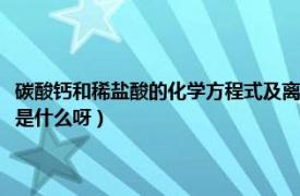 碳酸钙和稀盐酸的化学方程式及离子方程式（碳酸钙和稀盐酸的化学方程式是什么呀）