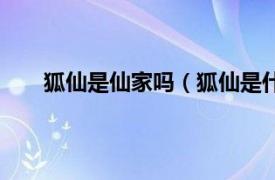 狐仙是仙家吗（狐仙是什么仙家相关内容简介介绍）