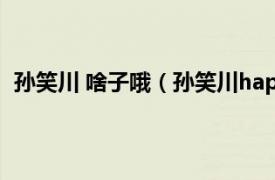 孙笑川 啥子哦（孙笑川hape什么意思相关内容简介介绍）