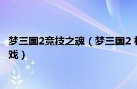 梦三国2竞技之魂（梦三国2 杭州电魂研发的竞技类电脑客户端游戏）