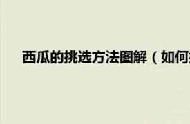 西瓜的挑选方法图解（如何挑选西瓜图相关内容简介介绍）