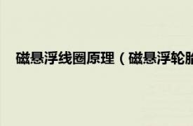 磁悬浮线圈原理（磁悬浮轮胎的工作原理相关内容简介介绍）