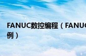 FANUC数控编程（FANUC数控系统编程指令详解及综合实例）