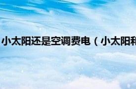 小太阳还是空调费电（小太阳和空调哪个费电相关内容简介介绍）