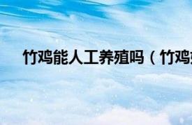 竹鸡能人工养殖吗（竹鸡如何养殖相关内容简介介绍）